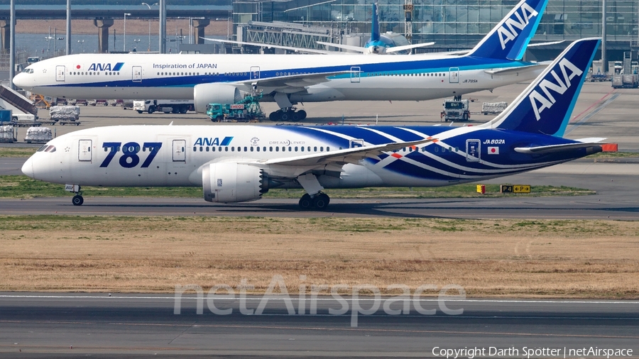 All Nippon Airways - ANA Boeing 787-8 Dreamliner (JA802A) | Photo 204368