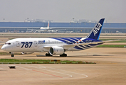 All Nippon Airways - ANA Boeing 787-8 Dreamliner (JA802A) at  Shanghai - Pudong International, China