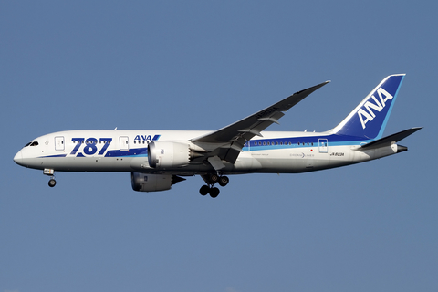All Nippon Airways - ANA Boeing 787-8 Dreamliner (JA803A) at  Tokyo - Haneda International, Japan