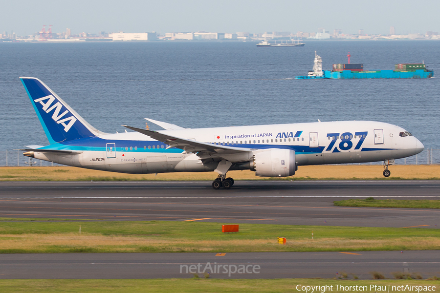All Nippon Airways - ANA Boeing 787-8 Dreamliner (JA803A) | Photo 78789
