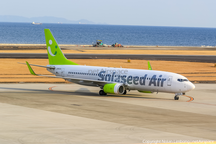 Solaseed Air Boeing 737-86N (JA803X) | Photo 599013