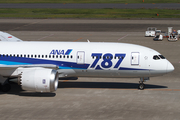 All Nippon Airways - ANA Boeing 787-8 Dreamliner (JA804A) at  Tokyo - Haneda International, Japan