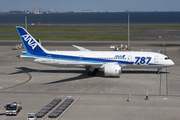 All Nippon Airways - ANA Boeing 787-8 Dreamliner (JA804A) at  Tokyo - Haneda International, Japan