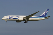 All Nippon Airways - ANA Boeing 787-8 Dreamliner (JA805A) at  Tokyo - Narita International, Japan