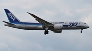 All Nippon Airways - ANA Boeing 787-8 Dreamliner (JA806A) at  Dusseldorf - International, Germany