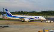 All Nippon Airways - ANA Boeing 787-8 Dreamliner (JA806A) at  Tokyo - Narita International, Japan