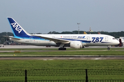 All Nippon Airways - ANA Boeing 787-8 Dreamliner (JA807A) at  Jakarta - Soekarno-Hatta International, Indonesia