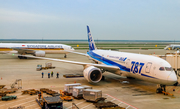 All Nippon Airways - ANA Boeing 787-8 Dreamliner (JA807A) at  Shanghai - Pudong International, China