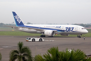All Nippon Airways - ANA Boeing 787-8 Dreamliner (JA808A) at  Jakarta - Soekarno-Hatta International, Indonesia