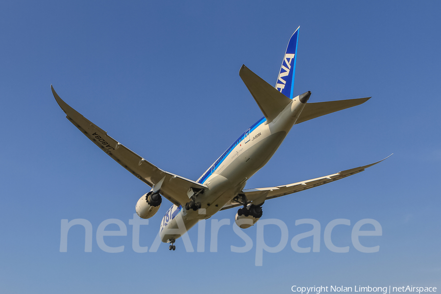 All Nippon Airways - ANA Boeing 787-8 Dreamliner (JA808A) | Photo 369392