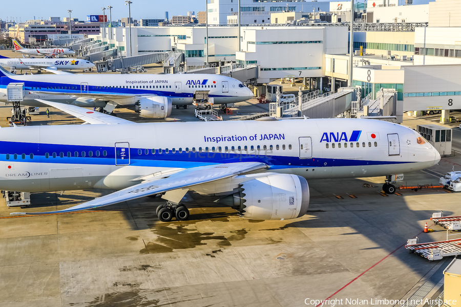 All Nippon Airways - ANA Boeing 787-8 Dreamliner (JA809A) | Photo 599034