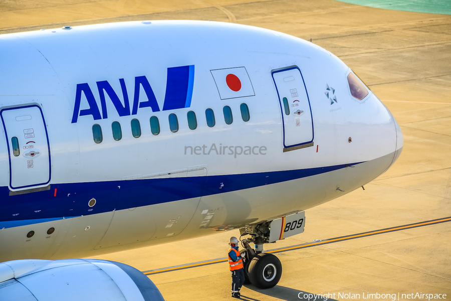 All Nippon Airways - ANA Boeing 787-8 Dreamliner (JA809A) | Photo 599037