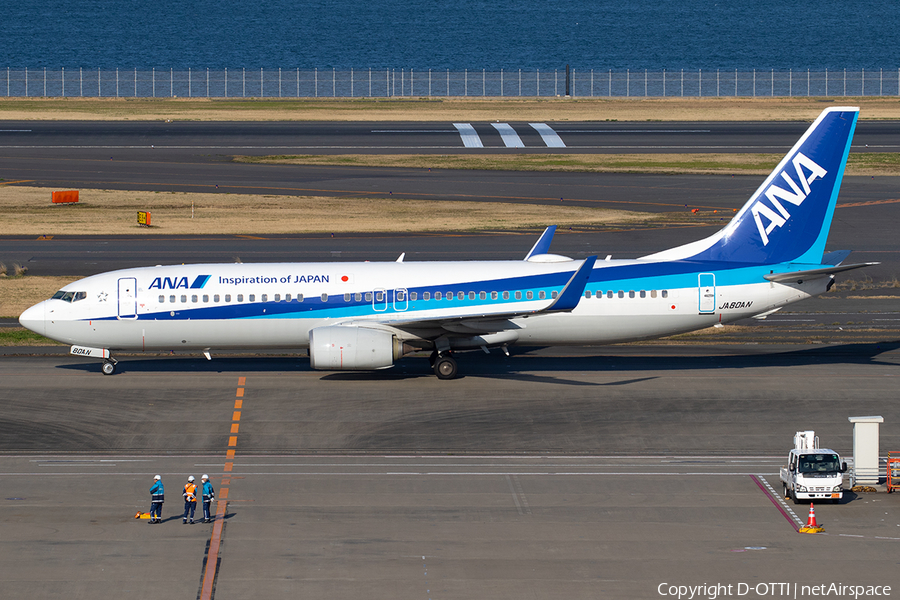 All Nippon Airways - ANA Boeing 737-881 (JA80AN) | Photo 382921