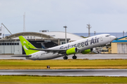 Solaseed Air Boeing 737-86N (JA811X) at  Okinawa - Naha, Japan