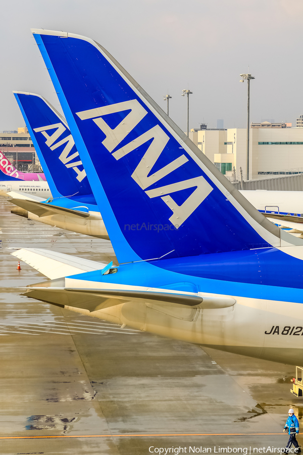 All Nippon Airways - ANA Boeing 787-8 Dreamliner (JA812A) | Photo 599068
