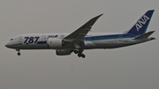 All Nippon Airways - ANA Boeing 787-8 Dreamliner (JA814A) at  Dusseldorf - International, Germany