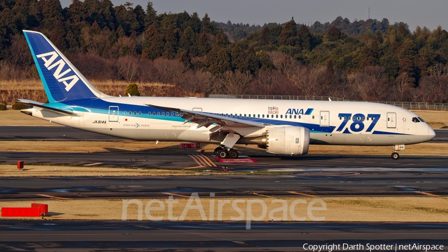 All Nippon Airways - ANA Boeing 787-8 Dreamliner (JA814A) | Photo 205401