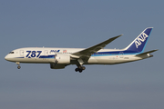 All Nippon Airways - ANA Boeing 787-8 Dreamliner (JA814A) at  Tokyo - Narita International, Japan
