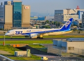 All Nippon Airways - ANA Boeing 787-8 Dreamliner (JA816A) at  Tokyo - Haneda International, Japan