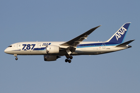 All Nippon Airways - ANA Boeing 787-8 Dreamliner (JA816A) at  Tokyo - Haneda International, Japan