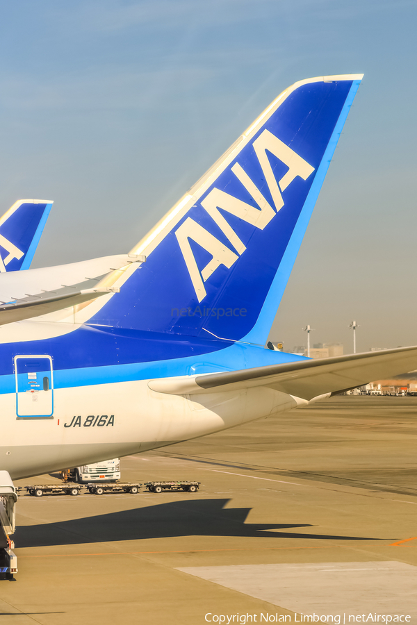 All Nippon Airways - ANA Boeing 787-8 Dreamliner (JA816A) | Photo 599084