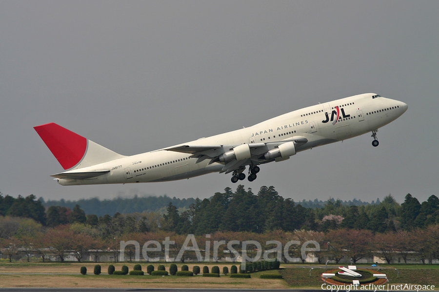 Japan Airlines - JAL Boeing 747-346 (JA8177) | Photo 384689