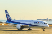 All Nippon Airways - ANA Boeing 787-8 Dreamliner (JA817A) at  Tokyo - Haneda International, Japan