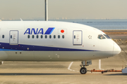 All Nippon Airways - ANA Boeing 787-8 Dreamliner (JA817A) at  Tokyo - Haneda International, Japan