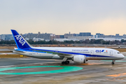 All Nippon Airways - ANA Boeing 787-8 Dreamliner (JA818A) at  Fukuoka, Japan