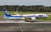 All Nippon Airways - ANA Boeing 787-8 Dreamliner (JA820A) at  Dusseldorf - International, Germany