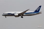 All Nippon Airways - ANA Boeing 787-8 Dreamliner (JA820A) at  Mexico City - Lic. Benito Juarez International, Mexico