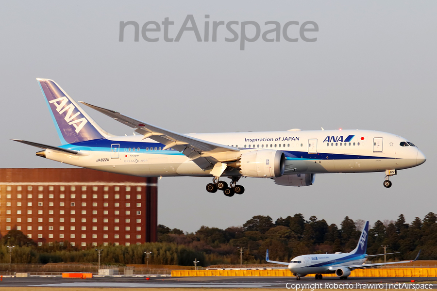 All Nippon Airways - ANA Boeing 787-8 Dreamliner (JA822A) | Photo 409147