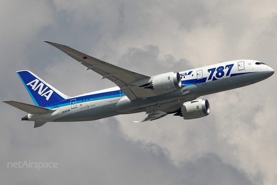 All Nippon Airways - ANA Boeing 787-8 Dreamliner (JA823A) at  Frankfurt am Main, Germany