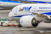 All Nippon Airways - ANA Boeing 787-8 Dreamliner (JA824A) at  Okinawa - Naha, Japan
