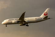 Japan Airlines - JAL Boeing 787-8 Dreamliner (JA824J) at  Frankfurt am Main, Germany