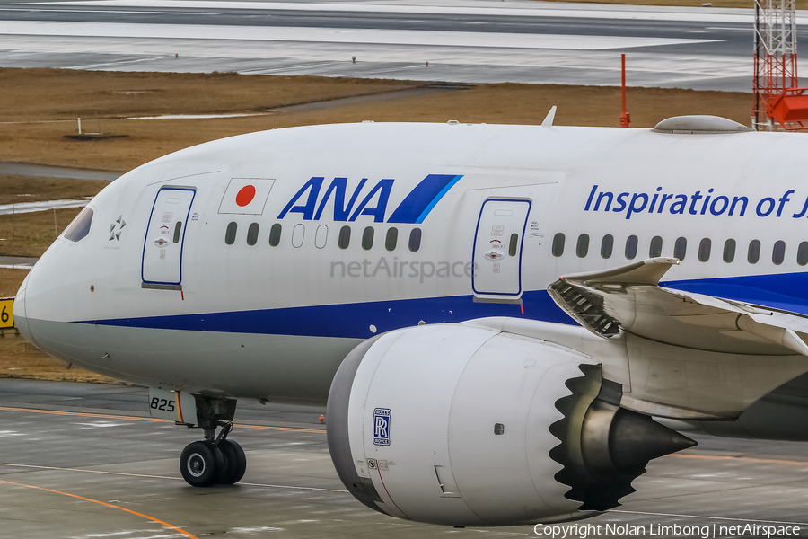 All Nippon Airways - ANA Boeing 787-8 Dreamliner (JA825A) | Photo 599487