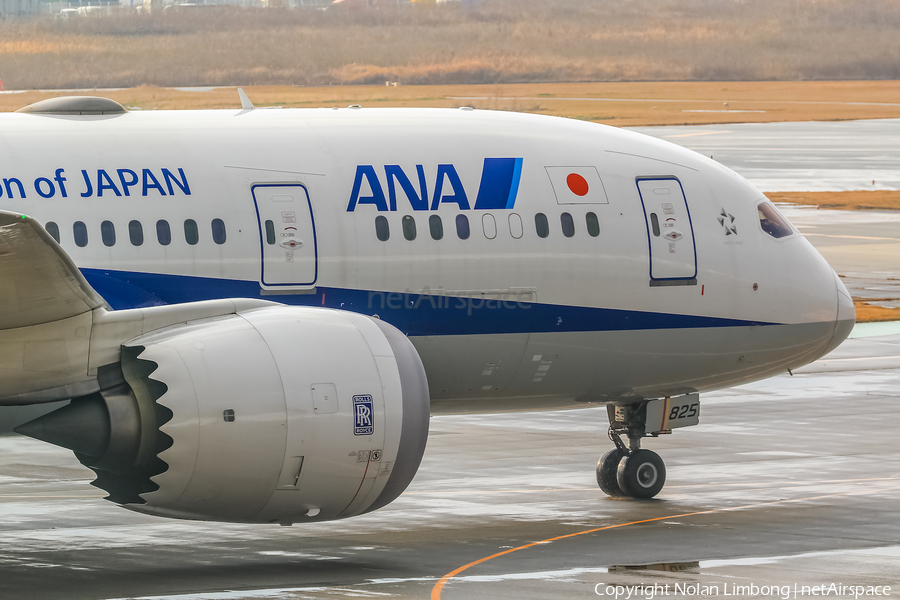 All Nippon Airways - ANA Boeing 787-8 Dreamliner (JA825A) | Photo 599493