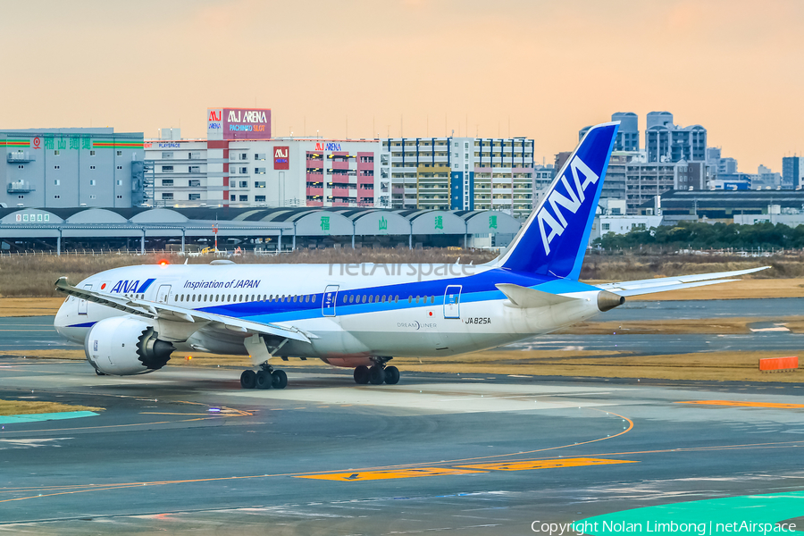 All Nippon Airways - ANA Boeing 787-8 Dreamliner (JA825A) | Photo 599501