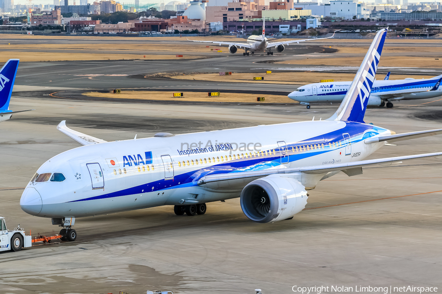 All Nippon Airways - ANA Boeing 787-8 Dreamliner (JA825A) | Photo 599509