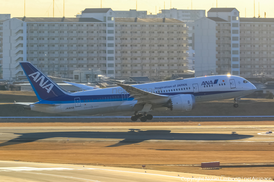 All Nippon Airways - ANA Boeing 787-8 Dreamliner (JA825A) | Photo 599513