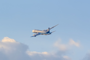 All Nippon Airways - ANA Boeing 787-8 Dreamliner (JA825A) at  Osaka - Itami International, Japan