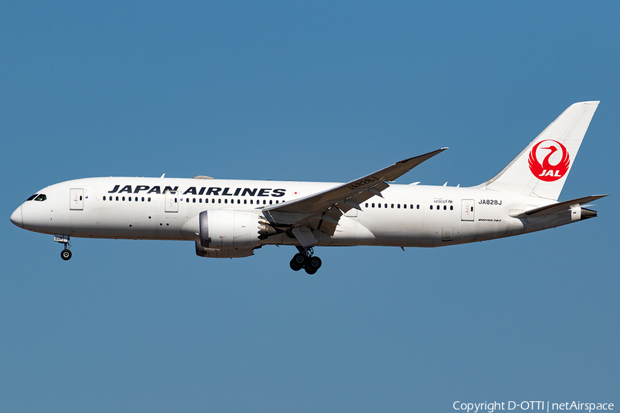 Japan Airlines - JAL Boeing 787-8 Dreamliner (JA828J) | Photo 387404