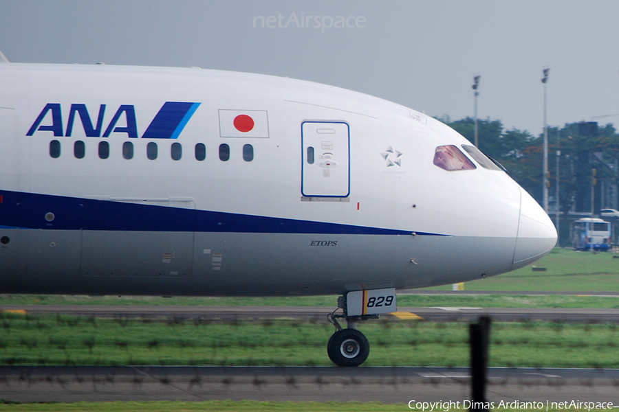 All Nippon Airways - ANA Boeing 787-8 Dreamliner (JA829A) | Photo 92765