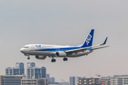 All Nippon Airways - ANA Boeing 737-881 (JA82AN) at  Fukuoka, Japan