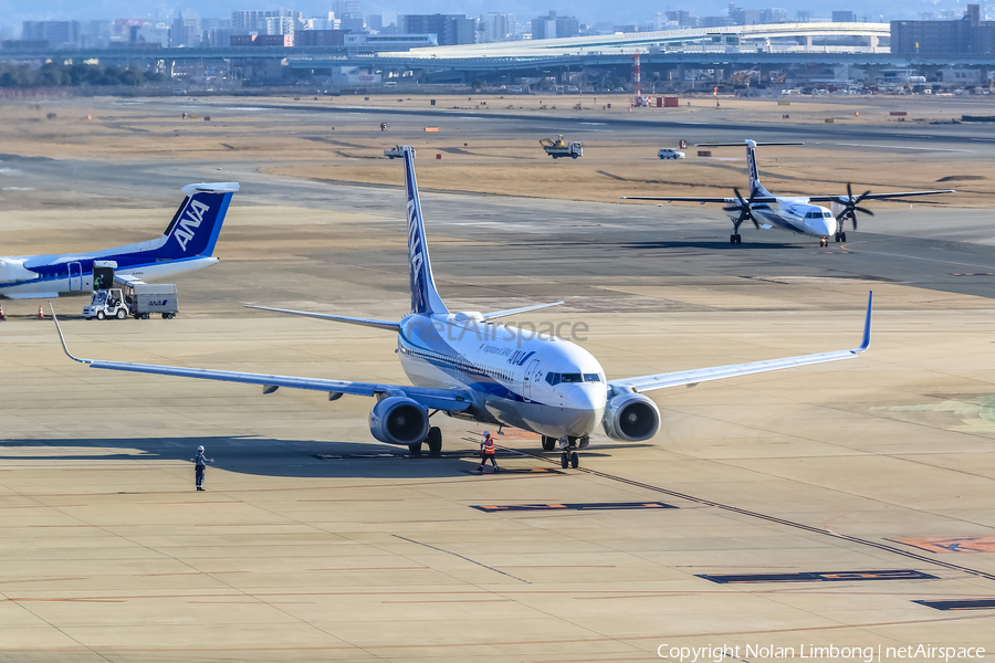 All Nippon Airways - ANA Boeing 737-881 (JA82AN) | Photo 597530