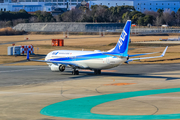 All Nippon Airways - ANA Boeing 737-881 (JA82AN) at  Fukuoka, Japan