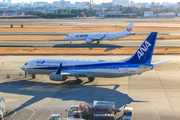 All Nippon Airways - ANA Boeing 737-881 (JA82AN) at  Osaka - Itami International, Japan