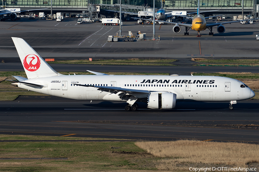 Japan Airlines - JAL Boeing 787-8 Dreamliner (JA830J) | Photo 399761