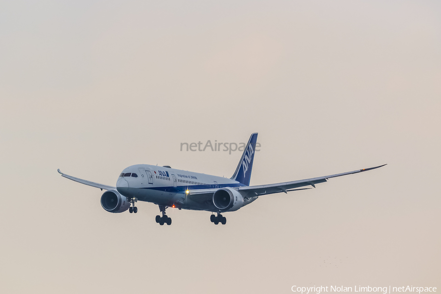 All Nippon Airways - ANA Boeing 787-8 Dreamliner (JA832A) | Photo 599528