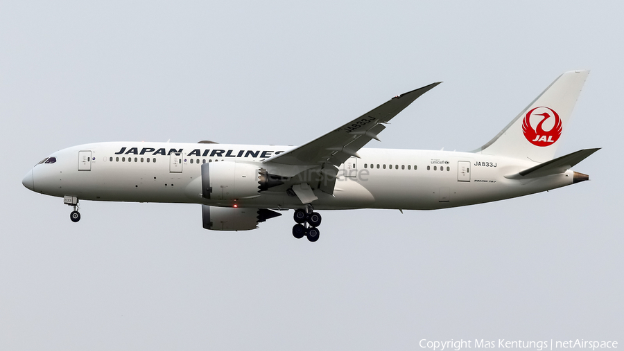 Japan Airlines - JAL Boeing 787-8 Dreamliner (JA833J) | Photo 512781